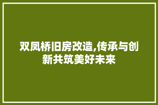 双凤桥旧房改造,传承与创新共筑美好未来