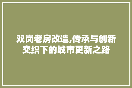 双岗老房改造,传承与创新交织下的城市更新之路