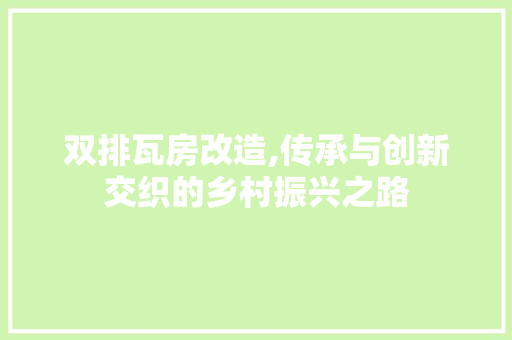 双排瓦房改造,传承与创新交织的乡村振兴之路