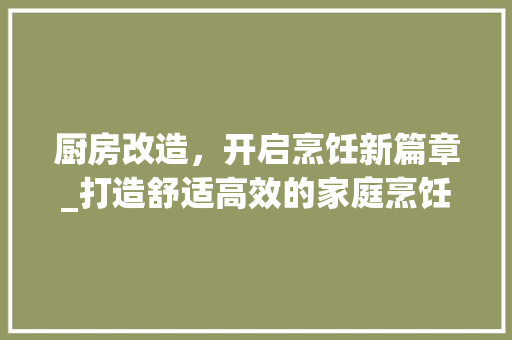 厨房改造，开启烹饪新篇章_打造舒适高效的家庭烹饪空间