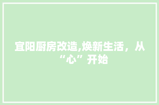 宜阳厨房改造,焕新生活，从“心”开始