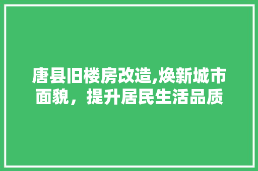 唐县旧楼房改造,焕新城市面貌，提升居民生活品质
