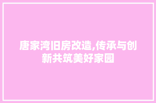 唐家湾旧房改造,传承与创新共筑美好家园