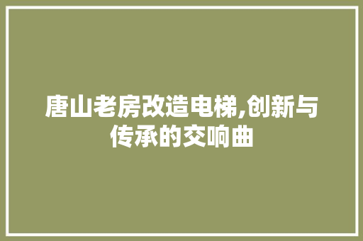 唐山老房改造电梯,创新与传承的交响曲