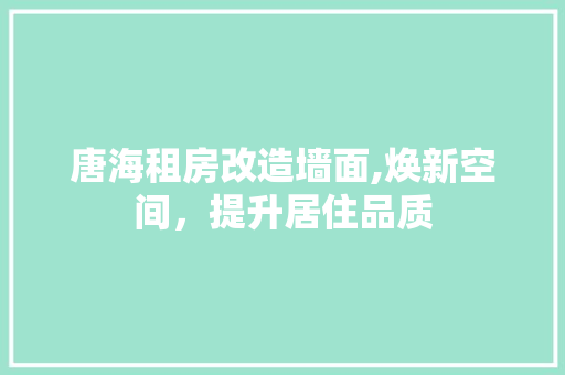 唐海租房改造墙面,焕新空间，提升居住品质