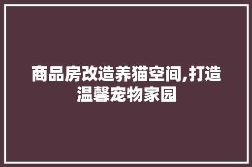 商品房改造养猫空间,打造温馨宠物家园