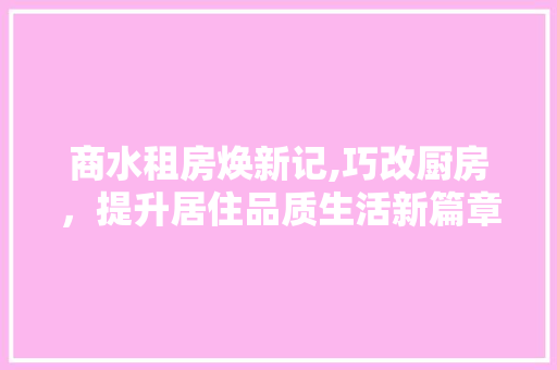 商水租房焕新记,巧改厨房，提升居住品质生活新篇章
