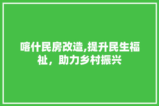 喀什民房改造,提升民生福祉，助力乡村振兴