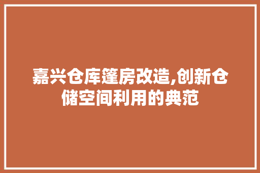 嘉兴仓库篷房改造,创新仓储空间利用的典范