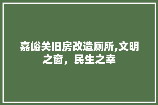 嘉峪关旧房改造厕所,文明之窗，民生之幸