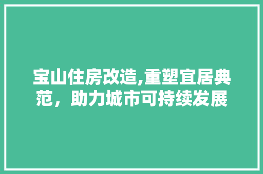 宝山住房改造,重塑宜居典范，助力城市可持续发展