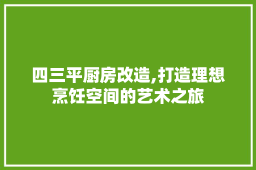 四三平厨房改造,打造理想烹饪空间的艺术之旅