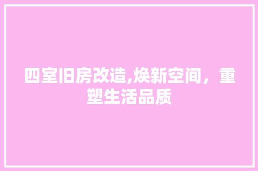 四室旧房改造,焕新空间，重塑生活品质