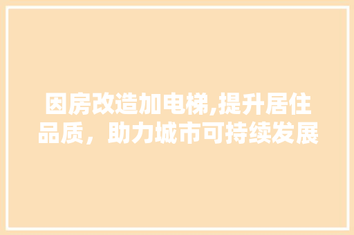 因房改造加电梯,提升居住品质，助力城市可持续发展