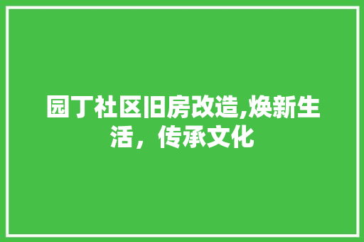 园丁社区旧房改造,焕新生活，传承文化