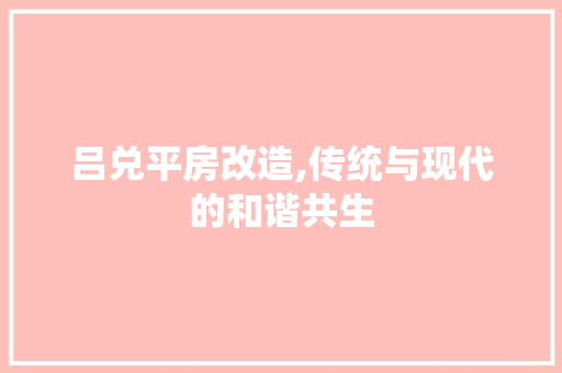 吕兑平房改造,传统与现代的和谐共生