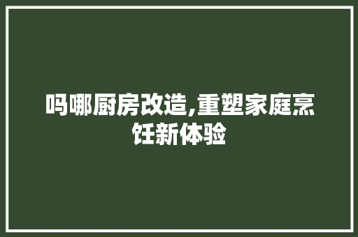 吗哪厨房改造,重塑家庭烹饪新体验