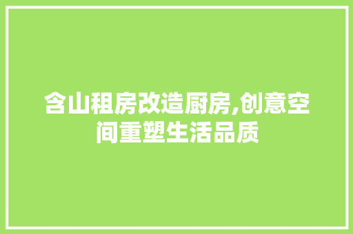 含山租房改造厨房,创意空间重塑生活品质