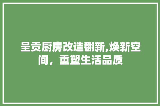 呈贡厨房改造翻新,焕新空间，重塑生活品质