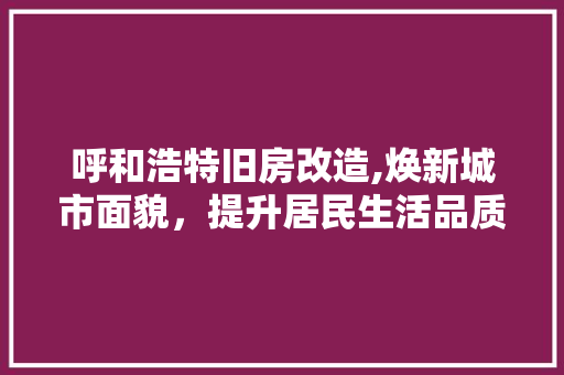 呼和浩特旧房改造,焕新城市面貌，提升居民生活品质