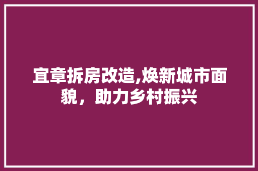 宜章拆房改造,焕新城市面貌，助力乡村振兴