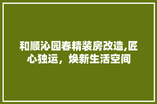 和顺沁园春精装房改造,匠心独运，焕新生活空间