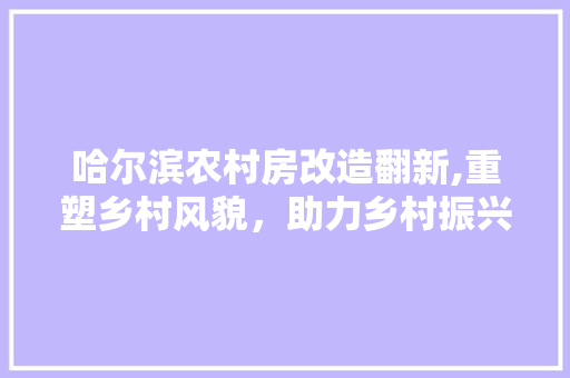 哈尔滨农村房改造翻新,重塑乡村风貌，助力乡村振兴