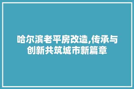 哈尔滨老平房改造,传承与创新共筑城市新篇章