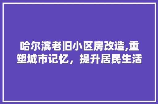 哈尔滨老旧小区房改造,重塑城市记忆，提升居民生活品质