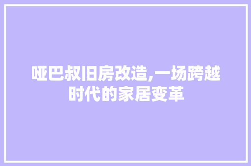 哑巴叔旧房改造,一场跨越时代的家居变革