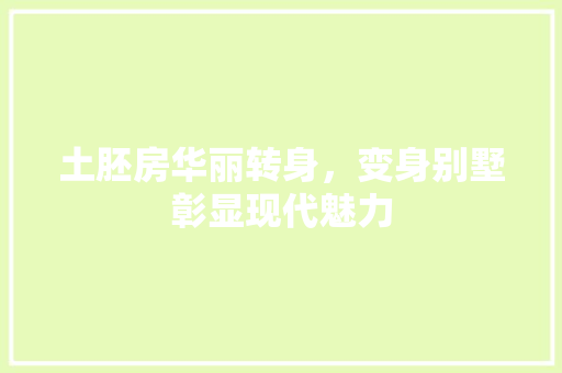 土胚房华丽转身，变身别墅彰显现代魅力