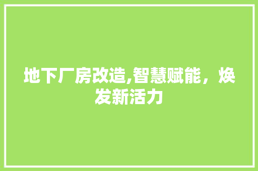 地下厂房改造,智慧赋能，焕发新活力