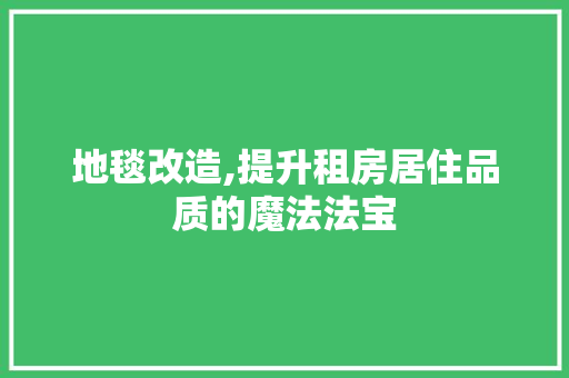 地毯改造,提升租房居住品质的魔法法宝