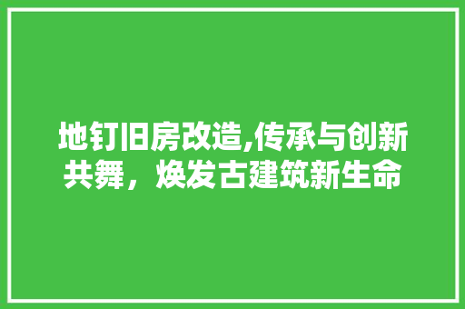 地钉旧房改造,传承与创新共舞，焕发古建筑新生命
