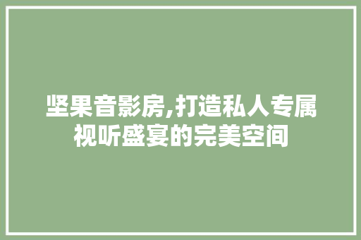 坚果音影房,打造私人专属视听盛宴的完美空间