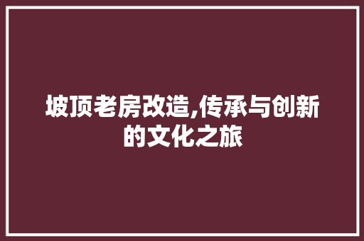坡顶老房改造,传承与创新的文化之旅
