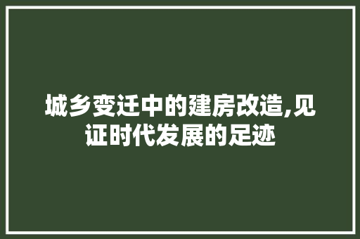 城乡变迁中的建房改造,见证时代发展的足迹