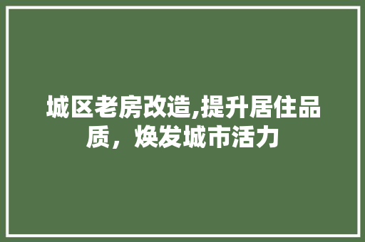 城区老房改造,提升居住品质，焕发城市活力