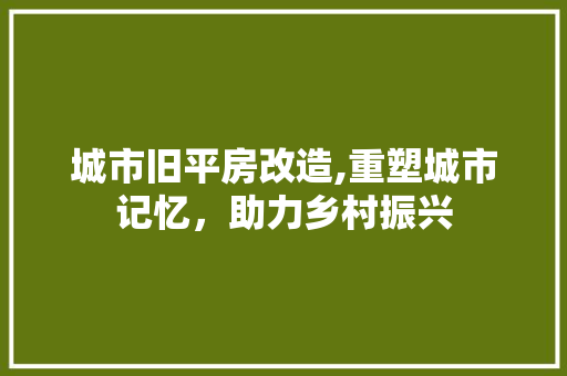 城市旧平房改造,重塑城市记忆，助力乡村振兴