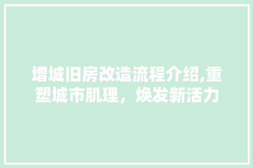 增城旧房改造流程介绍,重塑城市肌理，焕发新活力