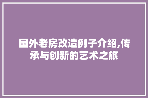 国外老房改造例子介绍,传承与创新的艺术之旅