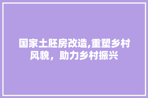 国家土胚房改造,重塑乡村风貌，助力乡村振兴