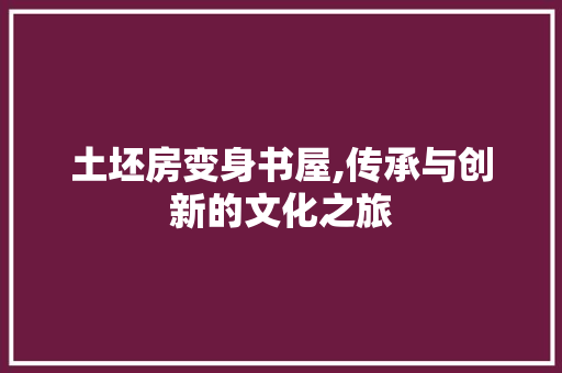 土坯房变身书屋,传承与创新的文化之旅
