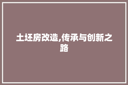 土坯房改造,传承与创新之路