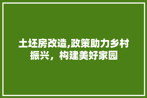土坯房改造,政策助力乡村振兴，构建美好家园
