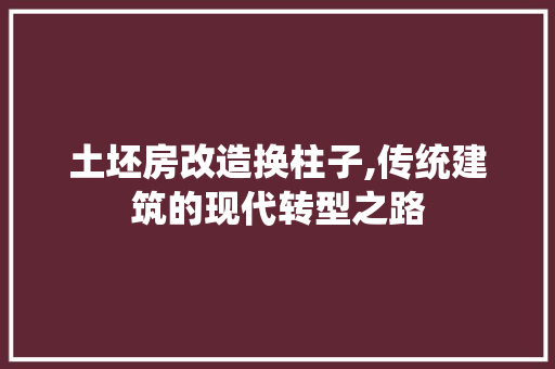 土坯房改造换柱子,传统建筑的现代转型之路