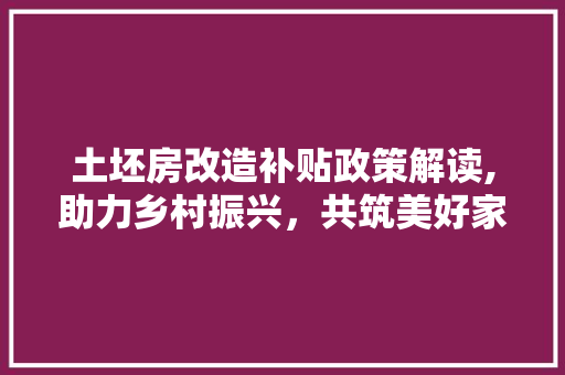 土坯房改造补贴政策解读,助力乡村振兴，共筑美好家园