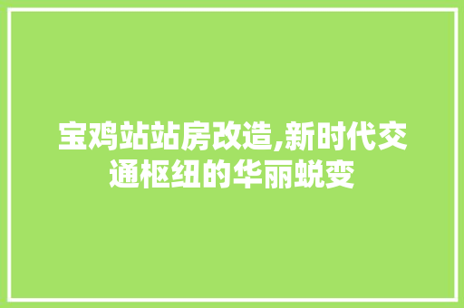 宝鸡站站房改造,新时代交通枢纽的华丽蜕变