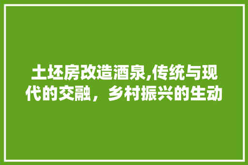 土坯房改造酒泉,传统与现代的交融，乡村振兴的生动方法