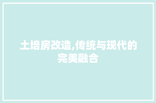 土培房改造,传统与现代的完美融合